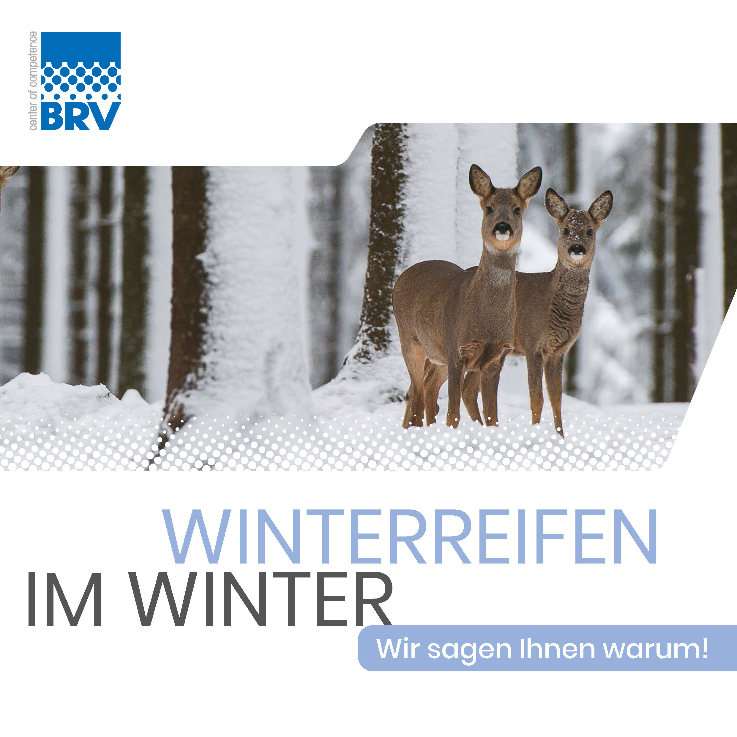 Winterreifen